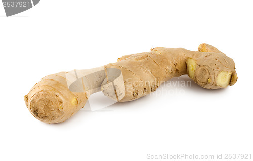 Image of Ginger root isolated