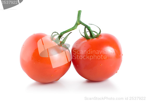 Image of Two ripe tomatoes