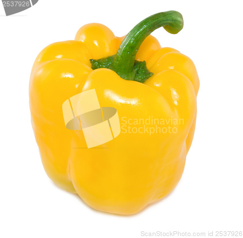 Image of Yellow peppe