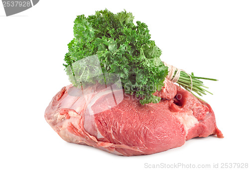 Image of Meat and parsley