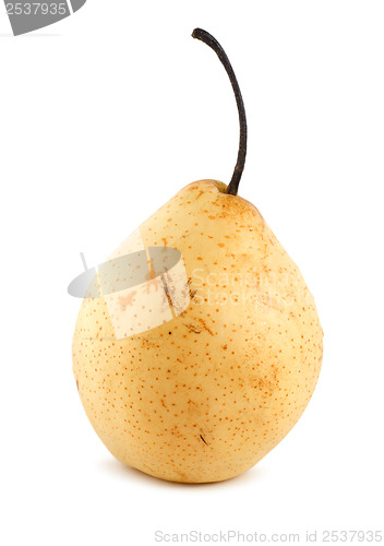 Image of Pear