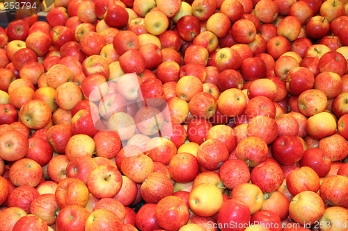 Image of Apples