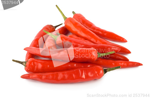 Image of Chili pepper isolated