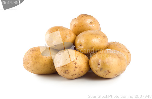 Image of Sweet potato