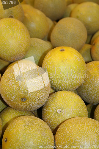 Image of Melons