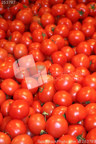 Image of Tomatoes