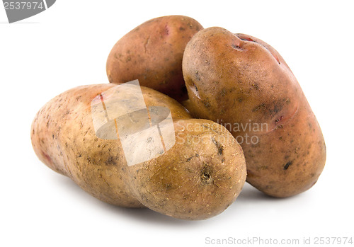 Image of Three potatoes isolated