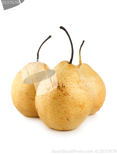 Image of Three pears