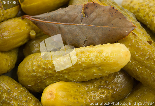 Image of Cucumbers