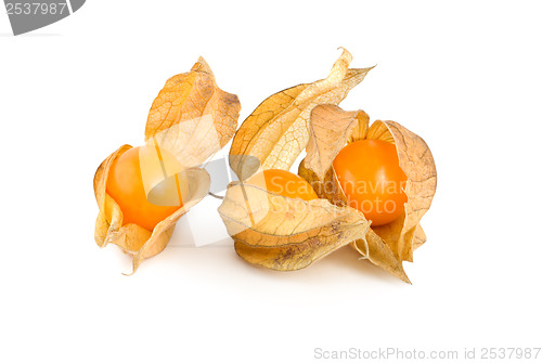 Image of Physalis isolated