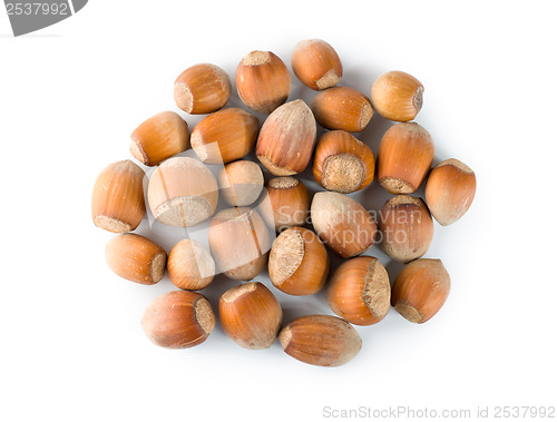 Image of Nuts Isolated