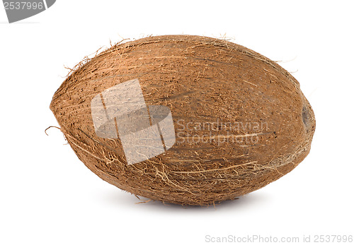 Image of Coconut