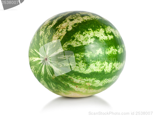 Image of Ripe large watermelon 