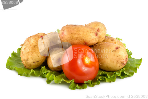 Image of Still life from vegetables