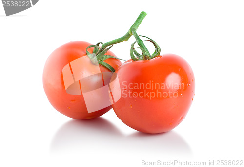 Image of Two ripe tomatoes isolated