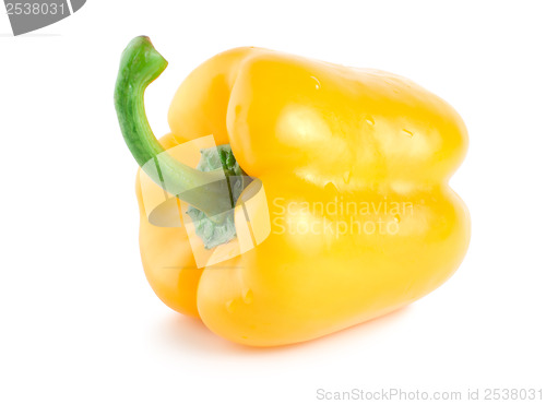 Image of Fresh wet yellow pepper