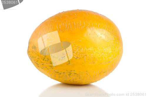 Image of Melon