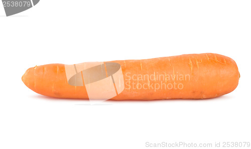 Image of Ripe carrot