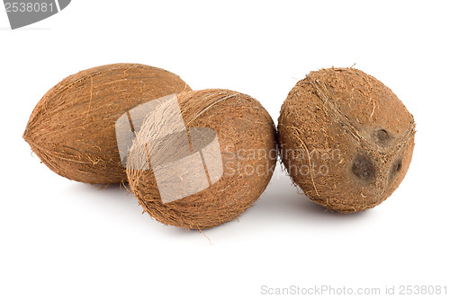Image of Three coconut