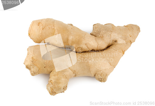 Image of Ginger root isolated on a white