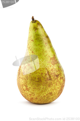 Image of Juicy Pear