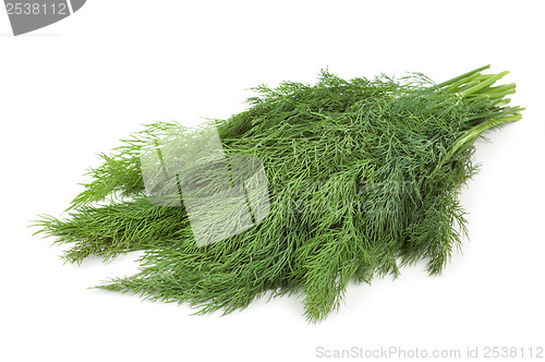 Image of Dill