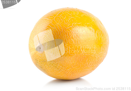 Image of Ripe melon isolated