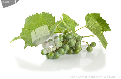 Image of Grape