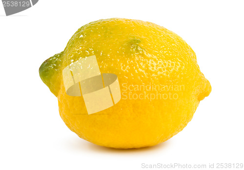 Image of Lemon