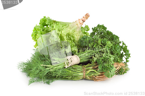 Image of Parsley and other green