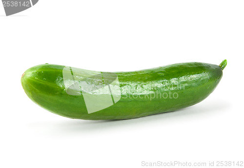 Image of Cucumber on white background