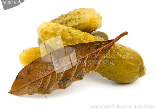 Image of Salt cucumbers isolated on a white