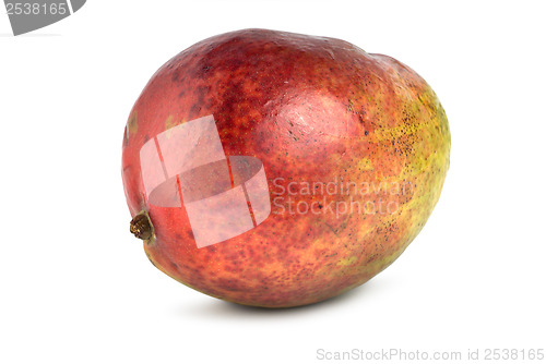 Image of Mango