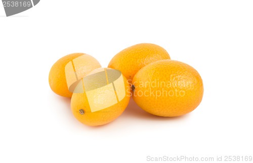 Image of Ripe kumquat