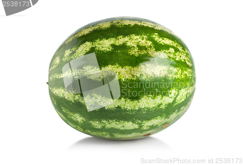 Image of Ripe large watermelon isolated