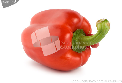 Image of Red pepper isolated