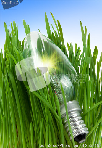 Image of Lamp in a grass