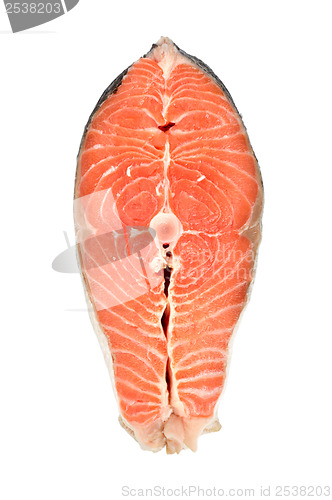 Image of Red fish
