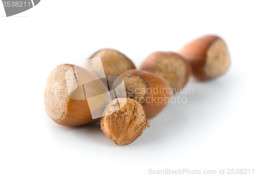 Image of Hazelnuts on a white background