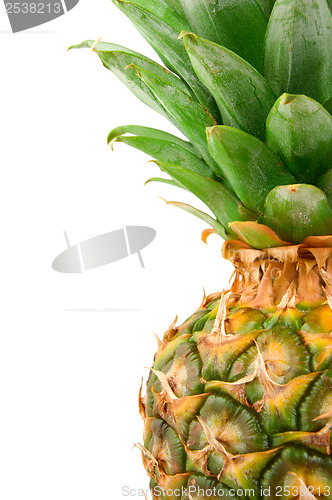 Image of Tropical fruit