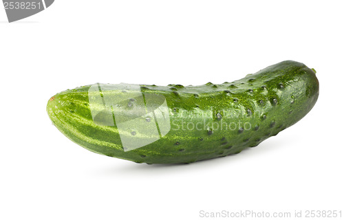 Image of Green cucumber