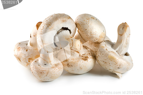 Image of Mushrooms