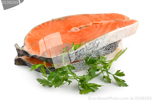 Image of Salmon isolated