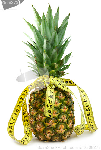 Image of Ripe juicy pineappl