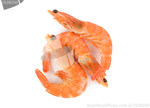 Image of Prepared shrimp