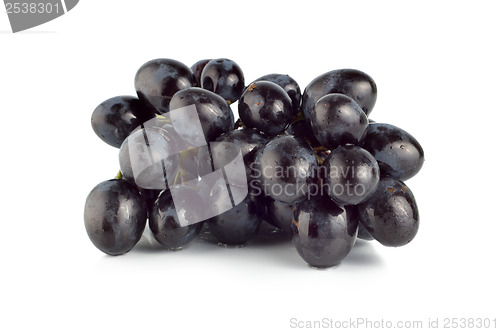 Image of Ripe blue grape isolated