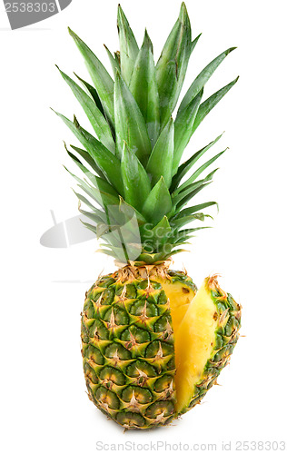 Image of Tropical fruit pineapple