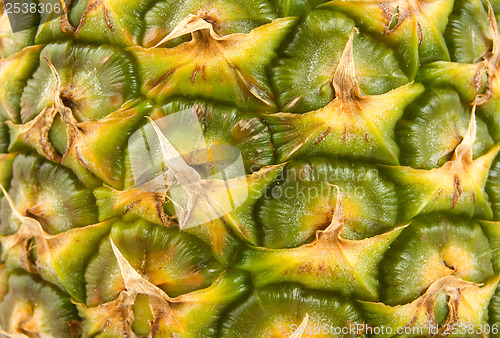 Image of Juicy pineapple