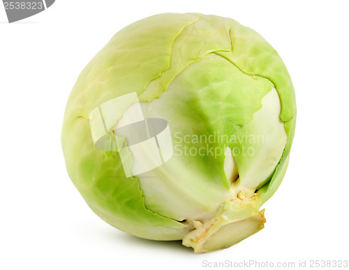 Image of Green cabbage