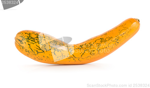 Image of Squash